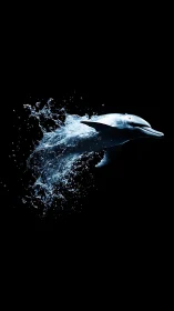 Midnight dolphin comet slicing through liquid starlight.