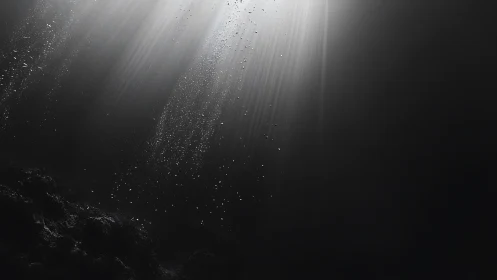 Silent sunbeams dive into a charcoal undersea cathedral