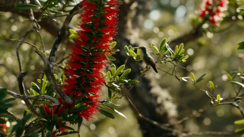 Captivating Hummingbird and Red Flower in Nature
