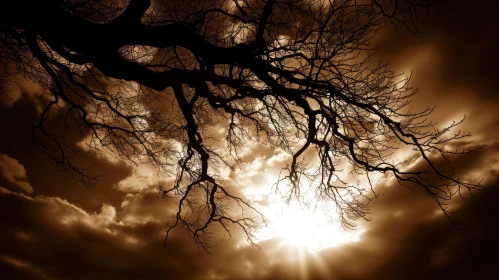 Imposing Tree Against Stormy Sky