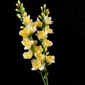 Traditional Vietnamese Yellow Floral Bouquet on Black Background