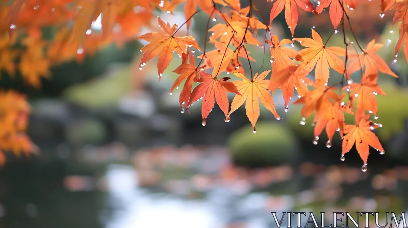 Orange Leaves with Water Drops