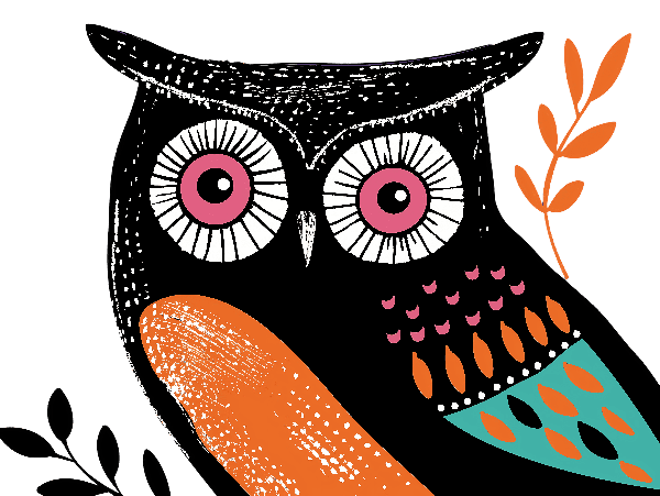 Colorful Owl Graphic Tee