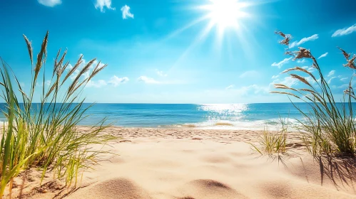 Coastal Scene with Grass and Sunshine