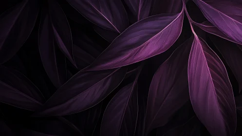 Midnight orchid leaves whisper in velvety violet hush.