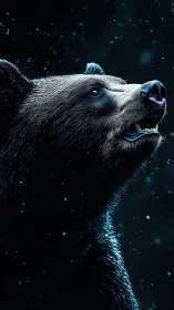 Black bear profile under falling snow in dramatic light.
