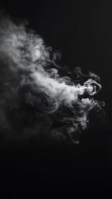 Ghostly vapors twist into silent stories on black velvet