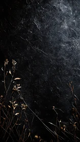 Dry field plants against rough dark textured surface.