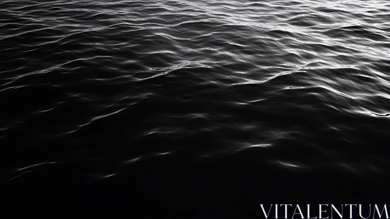 Monochrome ocean ripples glide across a calm, shadowed surface