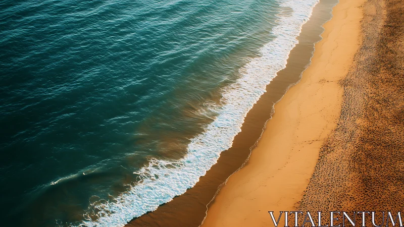 Golden shoreline and teal waves in gentle seaside rhythm.