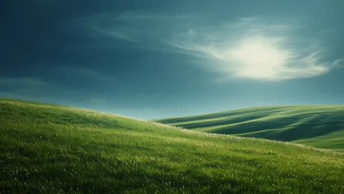 Gently sloping grass-covered hills recede under diffuse daylight