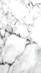 White marble surface glows with soft veins and minimal luxury