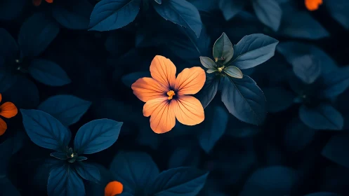 Vibrant Orange Blossom Amid Deep Blue-Toned Foliage in Selective Focus
