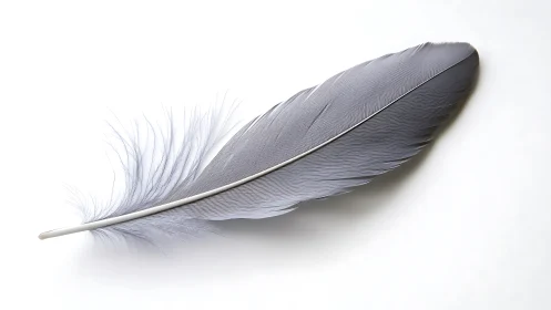 Silvery quill rests in luminous air, whispering quiet skies.