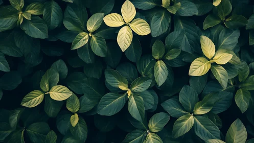 Lustrous green foliage pattern with luminous leaf accents.