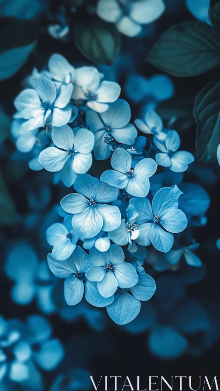 Blue-toned flowers with visible stamens and dense foliage background.