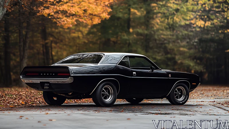Midnight black muscle car brooding beneath autumn trees.