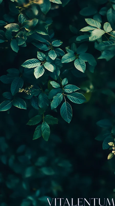 Green foliage pattern against dark out-of-focus background.