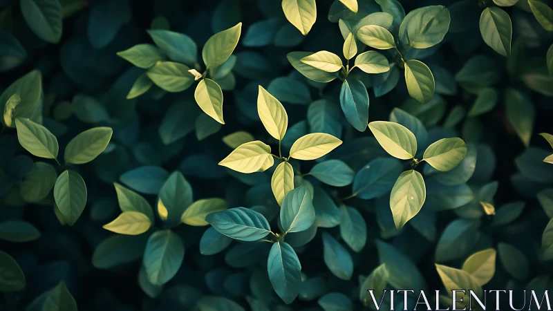 Photorealistic shallow-depth foliage with bicolor leaf canopy.