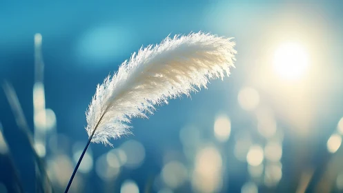 Sun-kissed plume drifting through a blue hush of light.