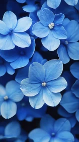 Blue Flowers in Soft Focus. Delicate Petals.