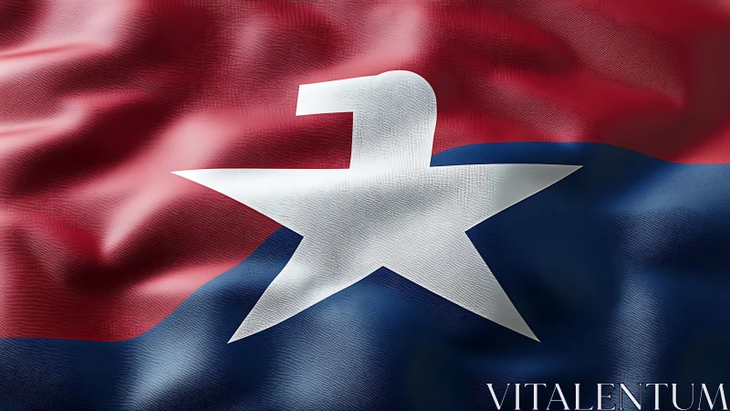Red and blue flag with stylized white star and bird emblem.