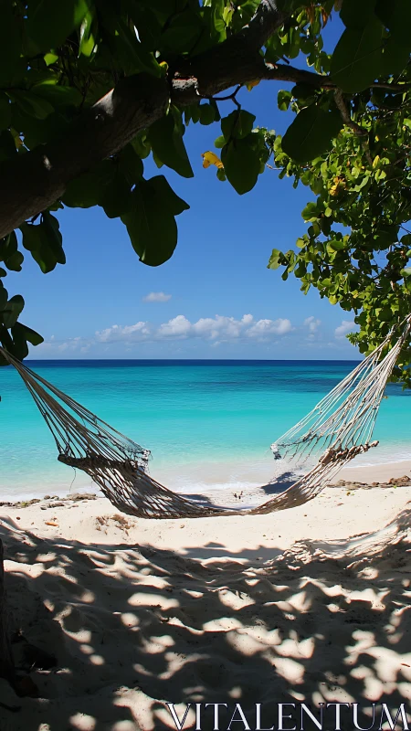 Tropical Beach Hammock: Turquoise Waters and Coastal Refuge.