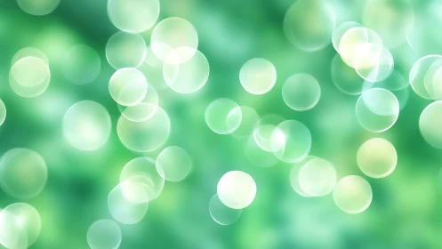 Soft green bokeh background with light circles, abstract style.