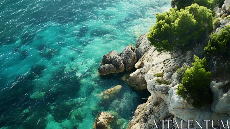 Coastal limestone cliff with turquoise shallows and dense pine canopy
