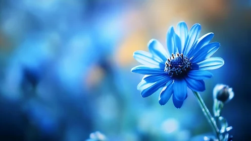 Radiant Blue Flower Blooming With Grace