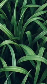 Layered green grass blades form dense abstract pattern.
