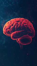 Glowing red brain rendered against deep cosmic blue field.