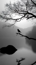 Monochrome lacustrine silhouette with perched corvid and reflection.
