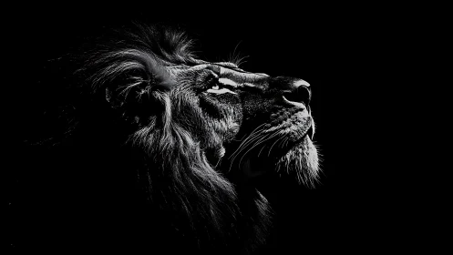 Side profile shows lion head rendered in high contrast monochrome