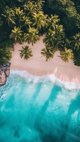 Tropical Paradise: Where Ocean Meets Palm-Fringed Shore.