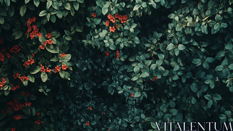 Scarlet whispers weaving through deep emerald garden leaves.