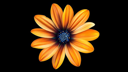 A Radiant Bloom: Warm Golden Daisy Flower Captures Natural Beauty