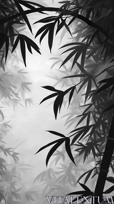 Monochrome bamboo canopy framing misty negative space.