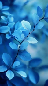 Monochromatic cyan foliage branch rendered in shallow focus