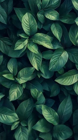 Dense arrangement of green elliptical leaves is shown