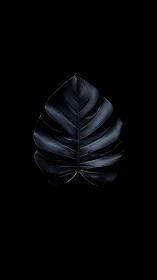Monstera leaf rendered in dark minimalist studio lighting
