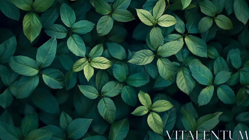 Lush green foliage forms a soothing botanical canopy pattern.