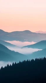 Soft dawn over misty blue mountains and quiet forest.