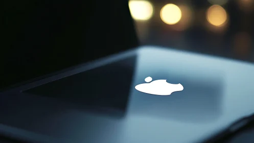 Minimalist laptop glow in a night-lit, softly blurred studio.