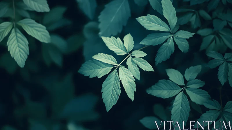 Midnight forest leaves trade whispers in soft teal hush