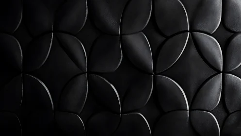 Soft shadows on sculpted black geometric petal wall.