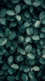 Soft green leaves create a peaceful, inviting natural pattern