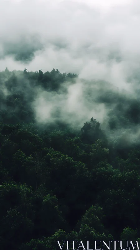 Misty forest landscape shrouded in rolling clouds and mist