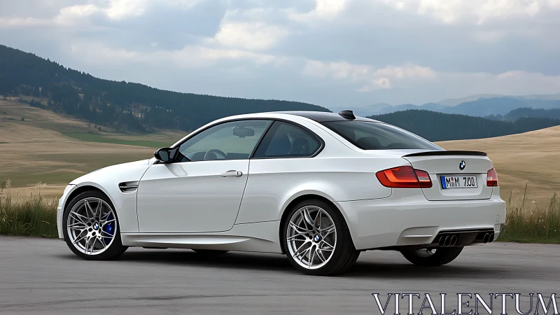 White BMW coupe parked on open rural roadside at dusk