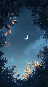 Digital night canopy with crescent moon and framed starlight.